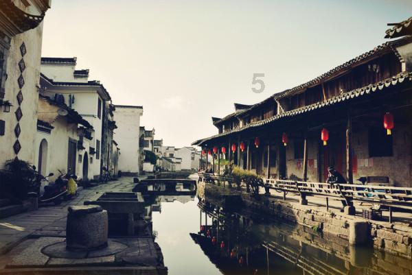 动物帮帮忙保卫家园